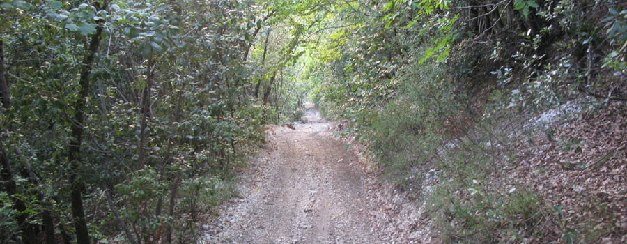 Monte Catria Sentiero Vinci - immagine 10