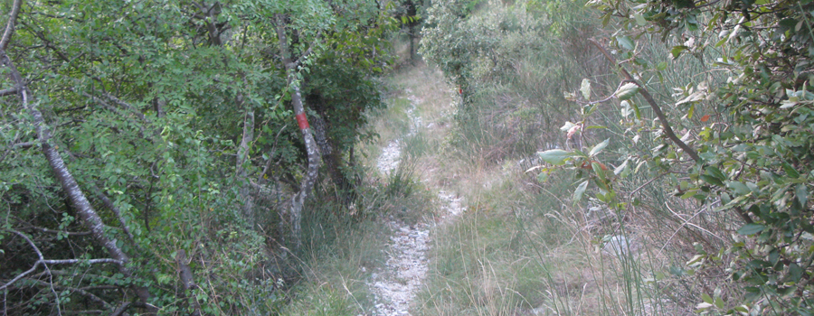 Monte Catria Sentiero Vinci - immagine 11