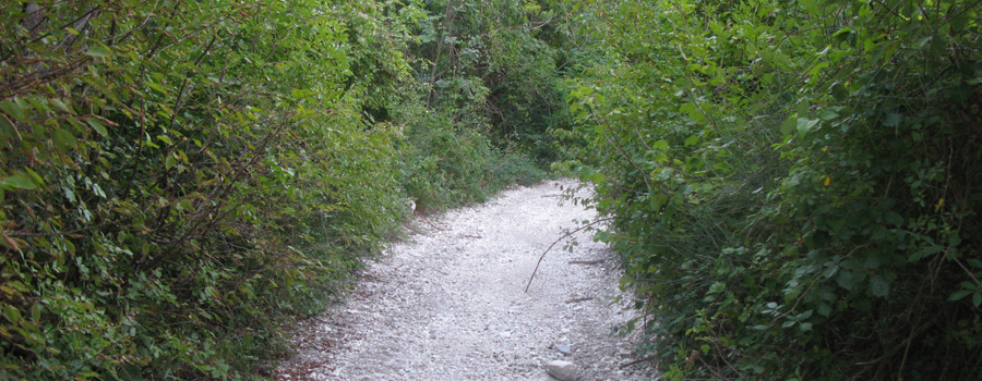 Monte Catria Sentiero Vinci - immagine 12