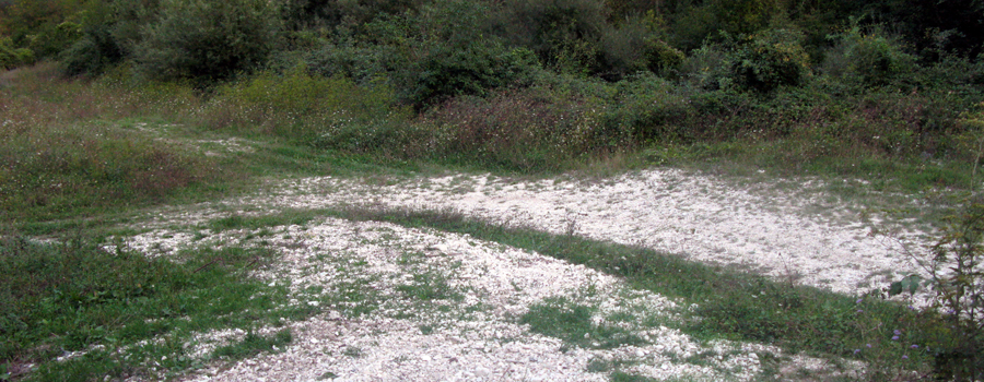 Monte Catria Sentiero Vinci - immagine 13