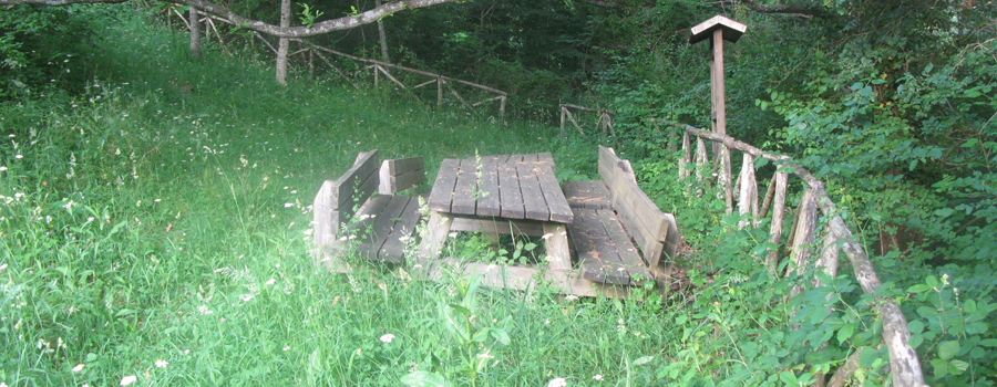 Bosco di Tecchie - area attrezzata con panchine